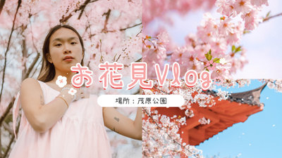 樱花野餐Vlog樱花